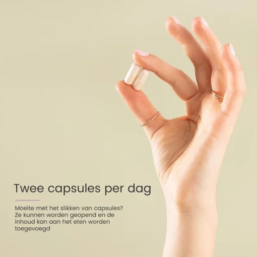 Proceive 1e trimester dosering