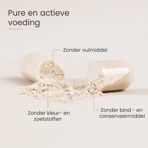 Proceive 2e trimester inhoud pil