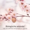 WELEDA Mama Zwangerschapsolie amandel